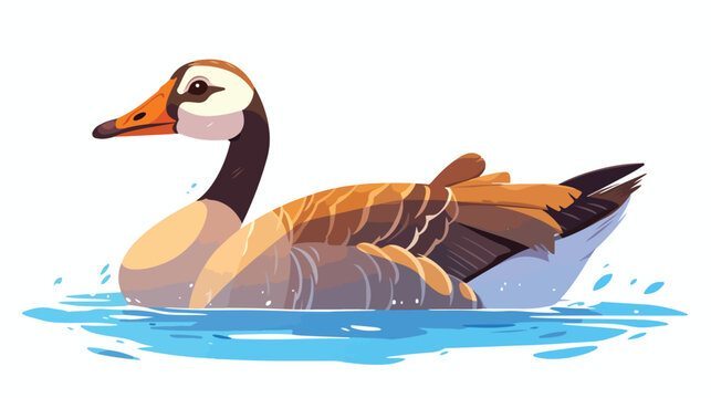 Egyptian goose swimming in Nile water. Aquatic bird