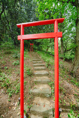 熱海の山の上の神社