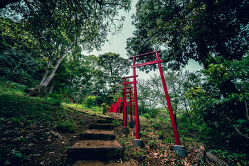 Fototapeta na wymiar 熱海の山の上の神社