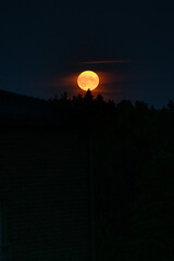 a yellow full moon over a silhouette of a tree