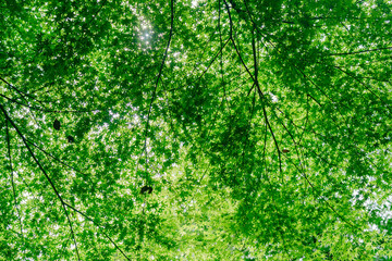 熱海の山の上の神社