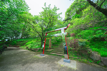 熱海の山の上の神社