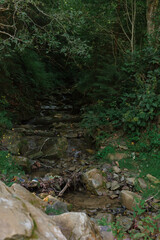 Beautiful sunrise in mountains with white fog below panorama
