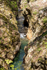 岩の間を流れる群馬県南牧村の蝉の渓谷
