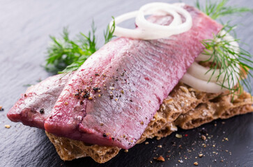 Traditional matie herring with onion rings served as close-up on a rustic wholemeal crispbread