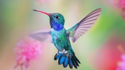 Obraz premium Beautiful wide-beaked colorful colibri bird flying against bokeh background