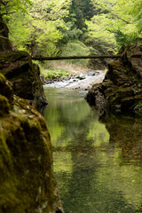 新緑が美しい南牧川