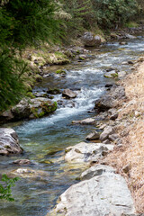 Fototapeta premium 南牧川の清らかな渓流の流れ