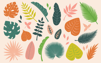 Tropical leaves set. Abstract foliage elements. Monstera, banana tree, palm leaves. Flat Vector illustration isolated on beige background