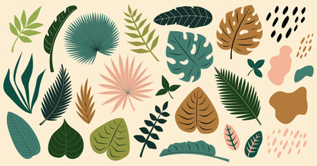 Tropical leaves set. Abstract exotic elements. Monstera, banana tree, palm leaves. Flat Vector illustration isolated on beige background © Marta Sher