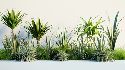 A lush green garden with a variety of plants and flowers.