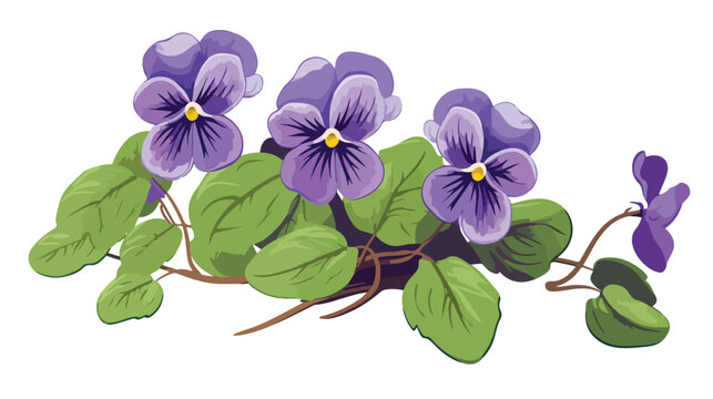 English common wood violet garden blossomed flower.