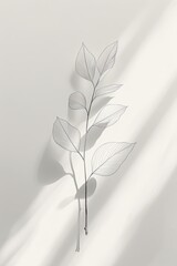 Elegant botanical shadow of a leafy branch on a white background - obrazy, fototapety, plakaty