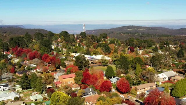Bright autumn colours of falling leaves in Blackheath town of Blue Mountains in Australia.
