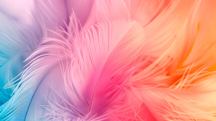 Fototapeta premium Beautiful abstract pale feathers background.