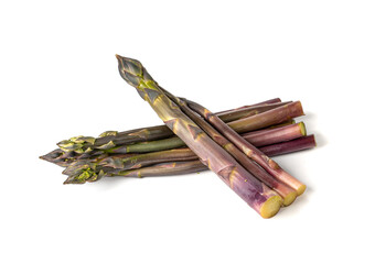 Purple Asparagus Isolated, Raw Garden Vegetables Bunch, Fresh Edible Sprouts of Red Asparagus Officinalis
