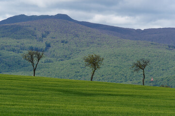 Landscape of Slovakia, Vihorlat mountains in spring.
