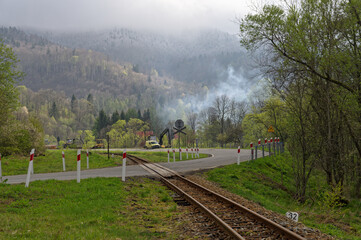 Krajobraz w górach Bieszczady, Polska, zieleń w Europie Środkowej. © Adam Sadlak