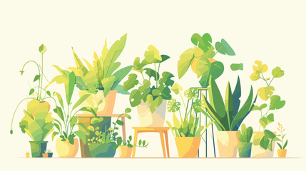 Green-leaf house plant growing in pot. Interior hou - obrazy, fototapety, plakaty