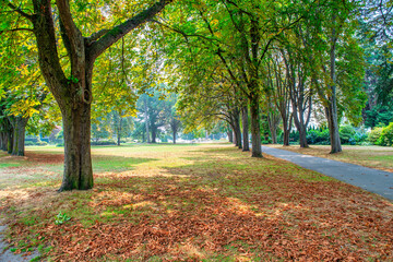 Park of Vancouver on a sunny day