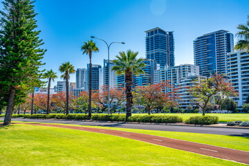 Fototapeta premium Langley Park and Perth Skyline on a beautiful sunny day