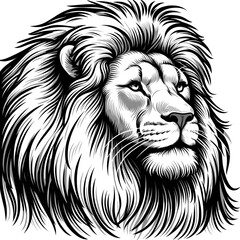 Black and white coloring book page, Lion