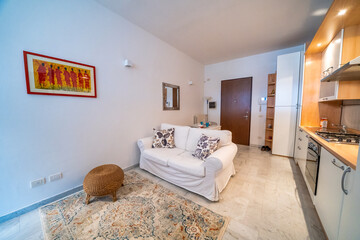 One-room bed and breakfast apartment, white interior design, open space: kitchen with dining table, living room with sofa