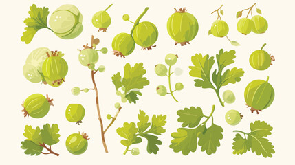 Hand drawn fresh green gooseberry with leaves vecto