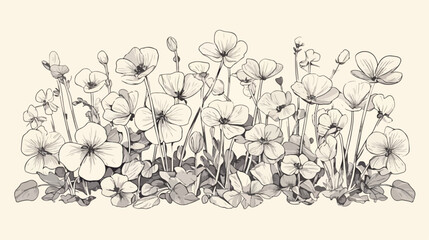 Common wood sorrel outlined botanical sketchy drawi