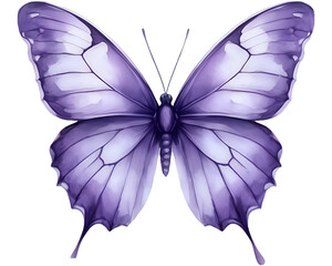 Violet butterfly on isolated white background, watercolor illustration, lilac beautiful butterfly