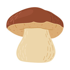 Porcini forest mushroom. Hand drawn boletus edulis fungus. Porcini fresh edible mushrooms flat style decor element. Cep. King bolete on white background. Penny bun Vector illustration