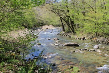 那須塩原木の俣渓谷の渓流
