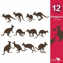 Kangaroo icons collection