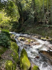 Fototapeta premium 湯河原の川