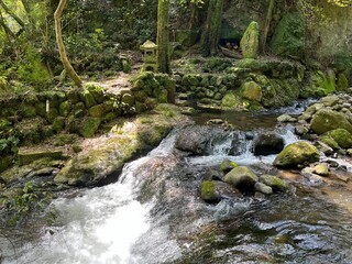 Naklejka na ściany i meble 湯河原の川