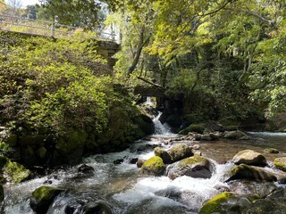 湯河原の川