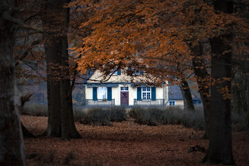 old house in autumn forest