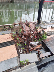 The drainage channel on the river bank was clogged with a lot of rubbish and plant roots which...