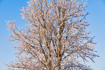 Winter time in the cultural landscape of Toten, Norway, in January. Image shot in the area between Kolbu Church and Gardlausstua.