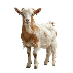 Brown and white baby goat cutout