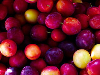 An assortment of colorful plums indicating freshness and variety, suitable for culinary arts or...