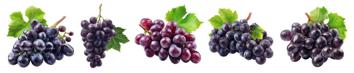 Set of bunches of grapes of different varieties and different colors isolated on a white background.