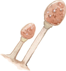 brown mushrooms watercolor