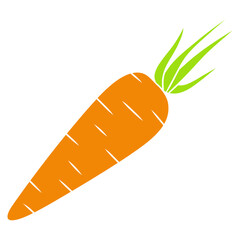 carrot vegetable illustration