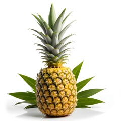 Fototapeta premium Pineapple Illustration Digital Fruit Painting Isolated Background Graphic Vegan Healthy Food Design