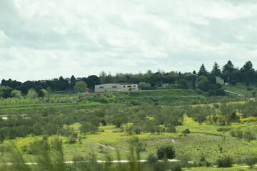 Fototapeta na wymiar Sole house in the middle of nowhere