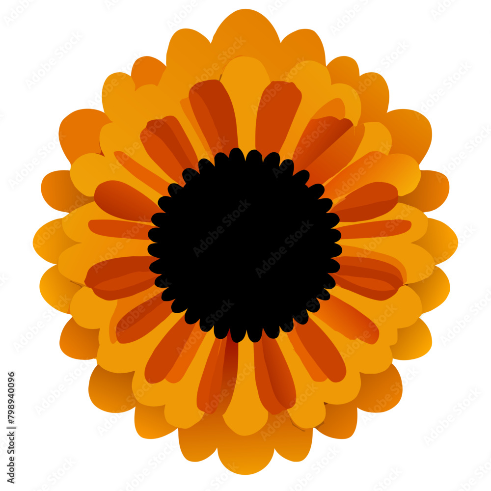 Sticker marigold background art hig