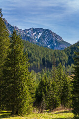 Dolina Chochołowska