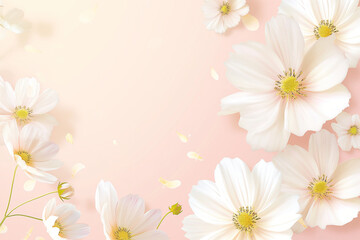 white flowers on pink background