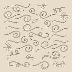 Swirl ornament strokes. Filigree swirl decoration, vintage scroll swirls. Hand drawn curly line dividers, wedding decor swirl ornament. Medieval decorative isolated vector illustration symbols set